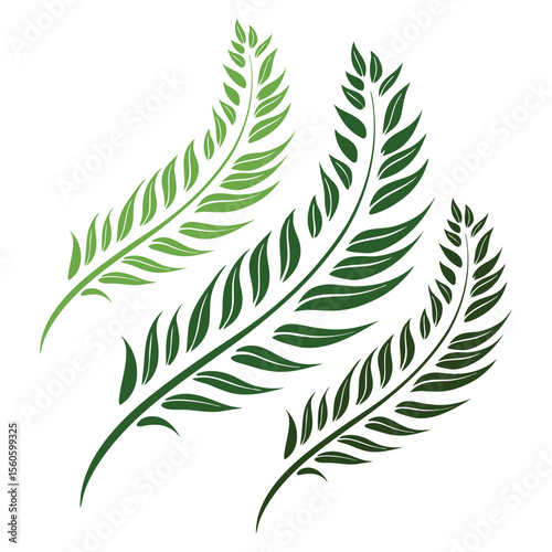 laurel wreath isolated on white