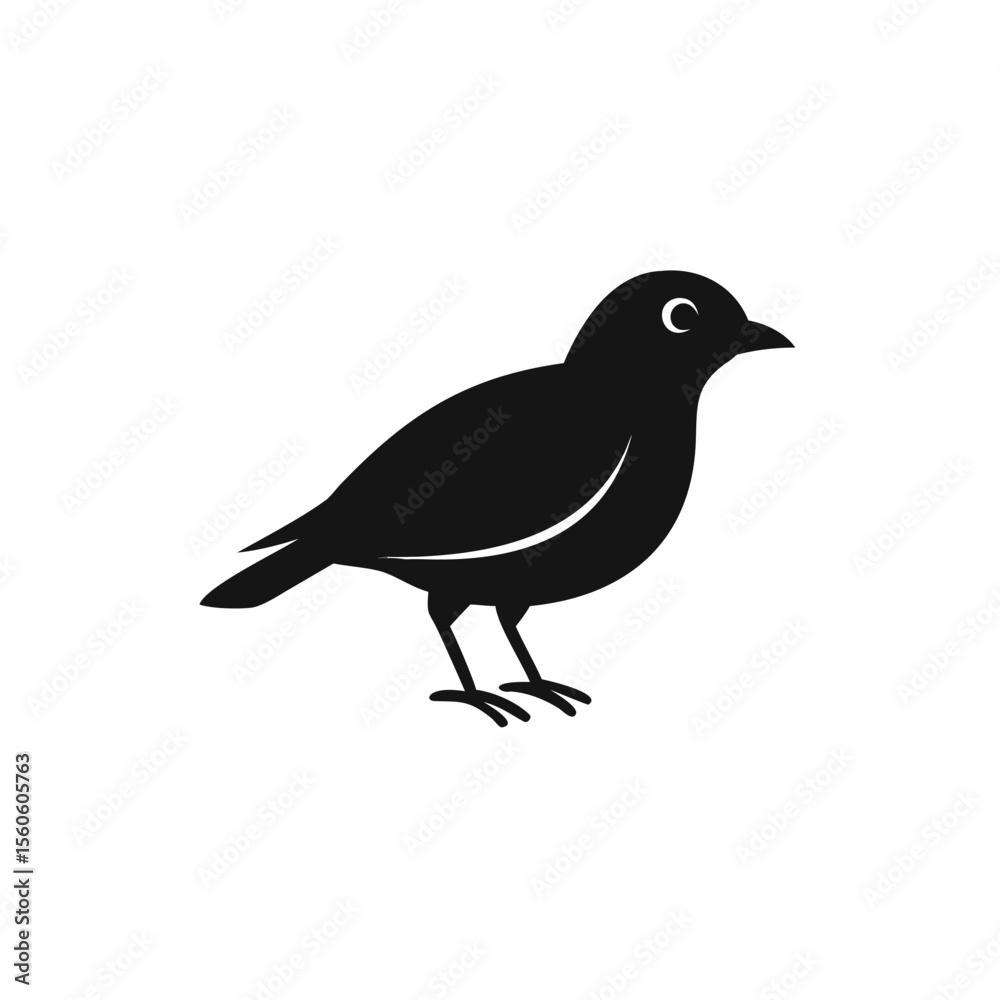 Fototapeta premium crow on a white background