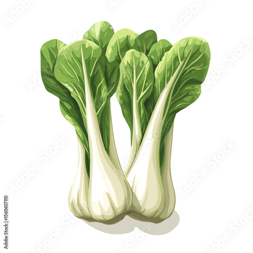 Pak Choi, cartoon vector illustration, flat 2D isometric style, white background.