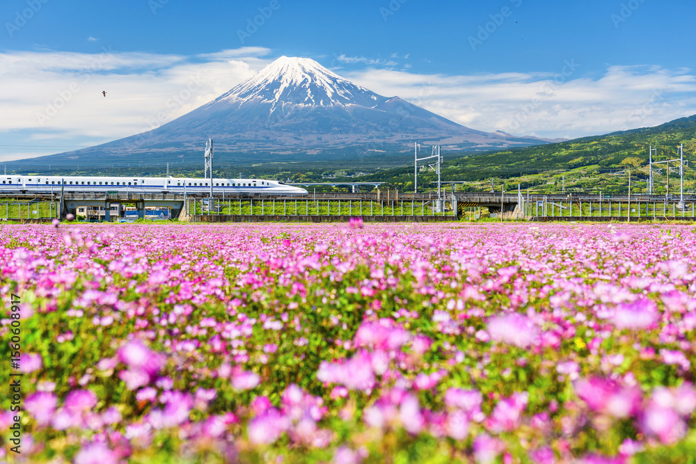 Obraz premium Shinkansen JR Bullet train pass through Mt. Fuji, Shizuoka, Japan
