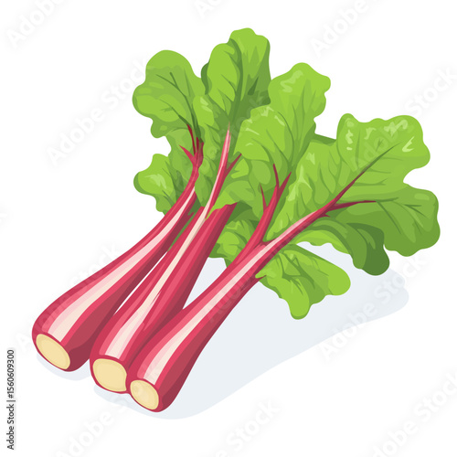 Rhubarb, vector graphic, 2D flat isometric cartoon illustration on white background.

