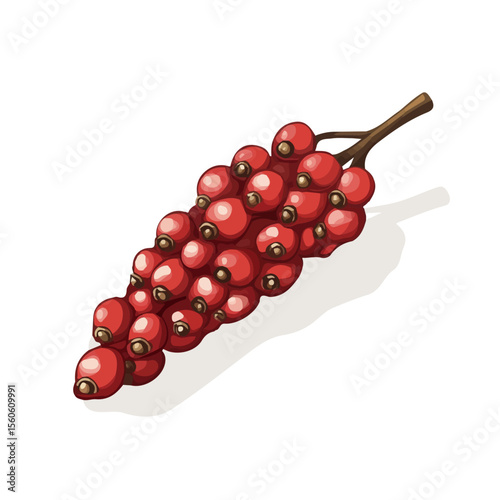 Peppercorn, flat 2D isometric cartoon vector image isolated on white background.