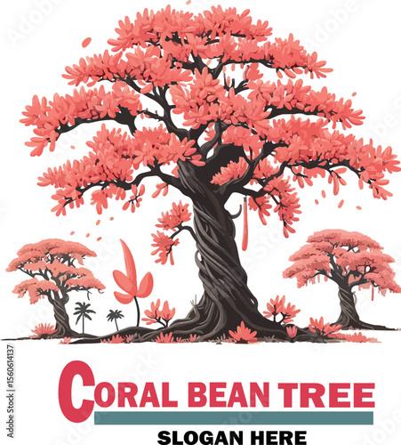 Coral bean tree vector white background .