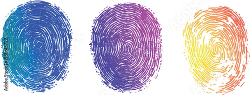 Set of three fingerprint scans isolated on transparent background. Digital biometric security and identification concept. Three different fingerprints are shown, different pattern on white background.