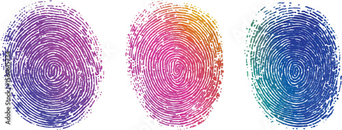 Set of three fingerprint scans isolated on transparent background. Digital biometric security and identification concept. Three different fingerprints are shown, different pattern on white background.