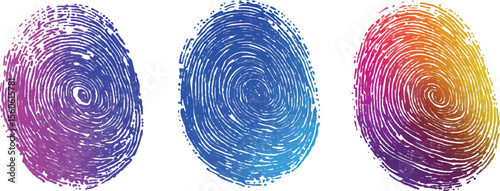 Set of three fingerprint scans isolated on transparent background. Digital biometric security and identification concept. Three different fingerprints are shown, different pattern on white background.