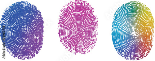 Set of three fingerprint scans isolated on transparent background. Digital biometric security and identification concept. Three different fingerprints are shown, different pattern on white background.