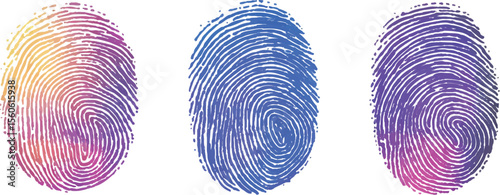 Set of three fingerprint scans isolated on transparent background. Digital biometric security and identification concept. Three different fingerprints are shown, different pattern on white background.