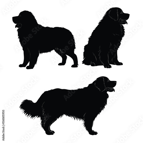 bernese mountain dog silhouette set, Black & White silhouette set