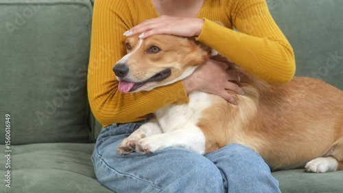 Asian young woman sits on the floor beside her sofa, gently stroking her Corgi dog head relax at home, reflecting warmth, pet lover, the comfort of home life.