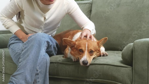 Asian young woman sits on the floor beside her sofa, gently stroking her Corgi dog head relax at home, reflecting warmth, pet lover, the comfort of home life.