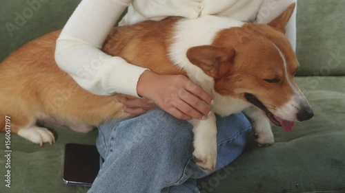 Asian young woman sits on the floor beside her sofa, gently stroking her Corgi dog head relax at home, reflecting warmth, pet lover, the comfort of home life.