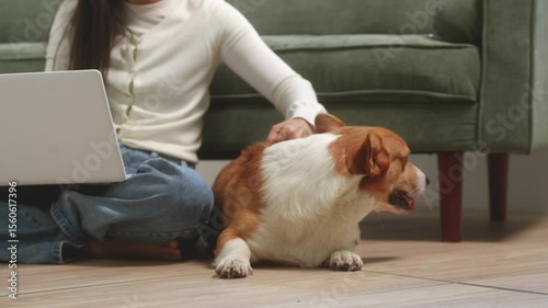 Asian young woman sits on the floor beside her sofa, gently stroking her Corgi dog head relax at home, reflecting warmth, pet lover, the comfort of home life.