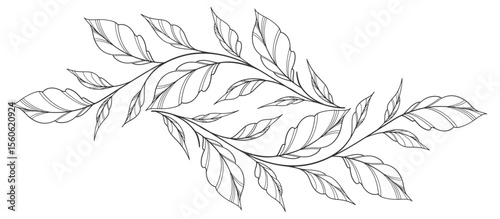 floral leaves line art isolated on white background. Divider doodle leaf and flowers, nature border decorative element vector illustration