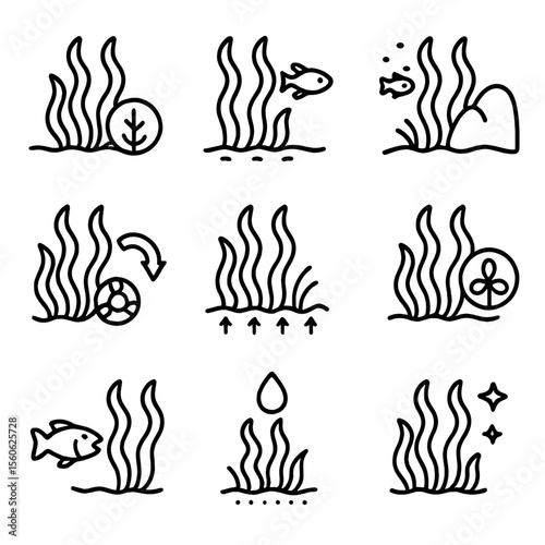 Seaweed Ecological Icons. Outline icon set of seaweed ecological roles: carbon sink, habitat shelter, nursery ground, nutrient