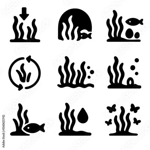Seaweed Ecological Roles Icons. Solid, Filled icon set of seaweed ecological roles: carbon sink, habitat shelter, nursery ground,