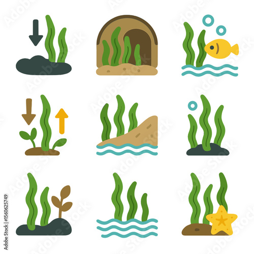 Seaweed Ecological Roles Icons. Flat icon set of seaweed ecological roles: carbon sink, habitat shelter, nursery ground, nutrient
