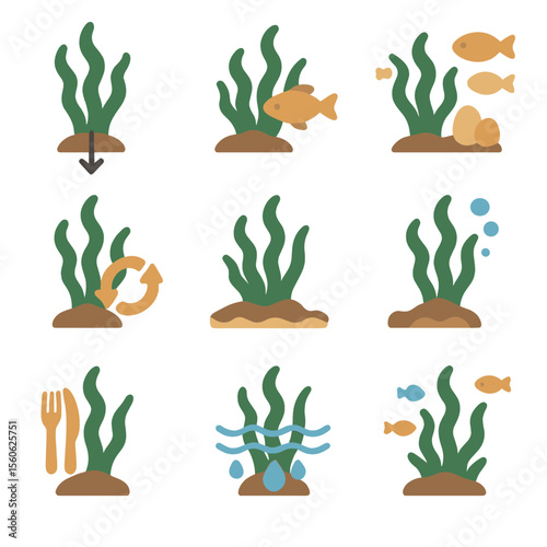 Seaweed Ecological Roles Icons. Flat icon set of seaweed ecological roles: carbon sink, habitat shelter, nursery ground, nutrient