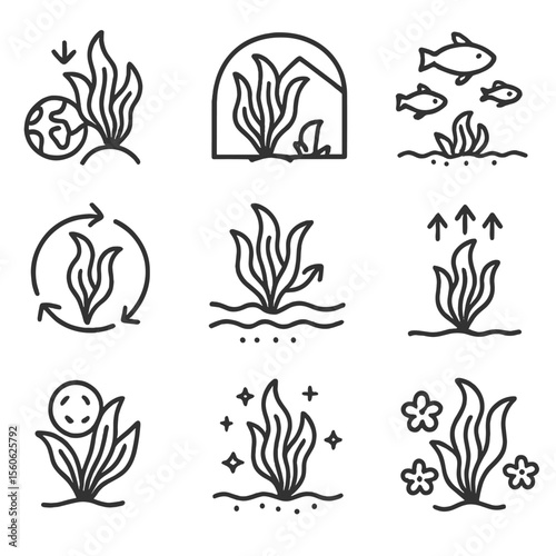 Seaweed Ecological Icons. Outline icon set of seaweed ecological roles: carbon sink, habitat shelter, nursery ground, nutrient