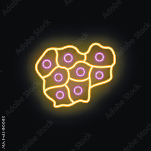Neon sign depicting cells dividing, symbolizing biological processes