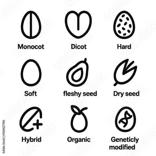 Seed Icons Grid. Solid, filled icon set of Seed types: monocot seed, dicot seed, hard seed, soft seed, fleshy seed, dry seed,