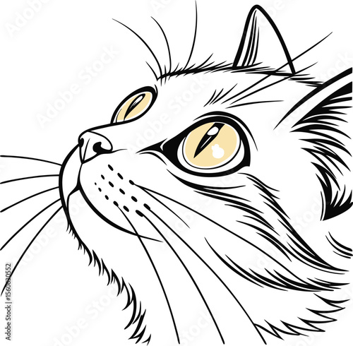 Black cat head vector illustration of a cute domestic feline's face with striking eyes and prominent whiskers