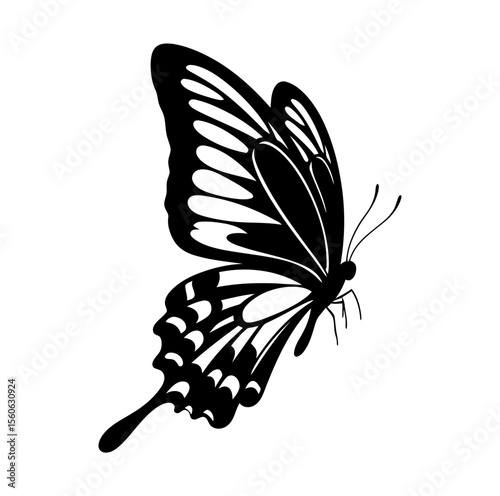 Elegant Butterfly Silhouette Depiction A Graceful Insect in Flight Revealing Detailed Wing Patterns Against a Plain White Backdrop