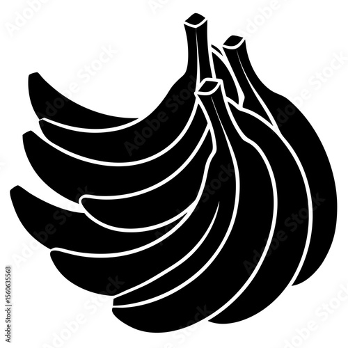 vector illustration of garlic