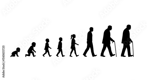Human Life Cycle Stages of Growth and Development from Infancy to Old Age
