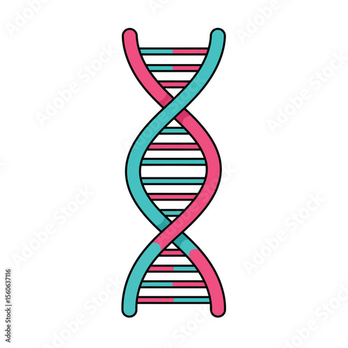 dna strand on white background