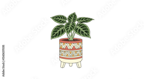 Beautiful Indoor Plant in Decorative Modern Planter Pot Stand