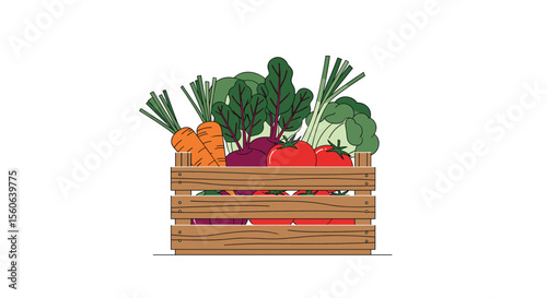 Fresh Organic Vegetables Directly From The Farm To Your Table