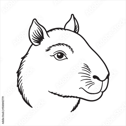Capybara Charm: World's Largest Rodent in Natural Beauty