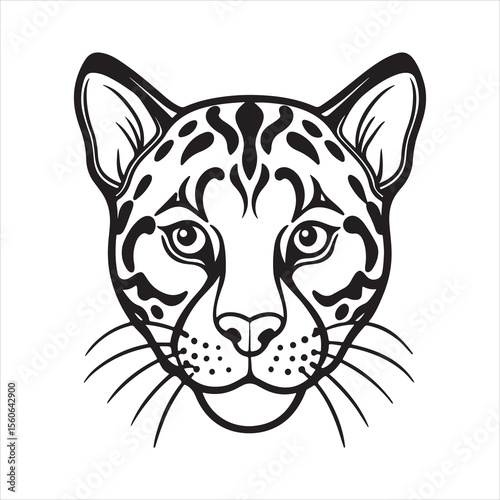 Mystery in the Canopy: Clouded Leopard in the Wild