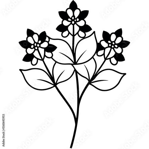 Black and White Lilac Flower Group Stem Natural Spacing