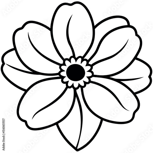 Black Line Art Anemone Flower Head Isolated Floral Design