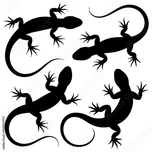 Four lizard silhouettes on a white background
