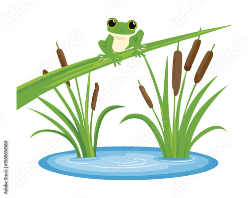 Cute Green Frog Perched on Tall Reed