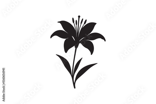 lily Flower Silhouette image in white background