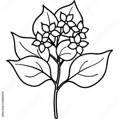 Blooming Lilac Bunch Botanical Line Art Illustration