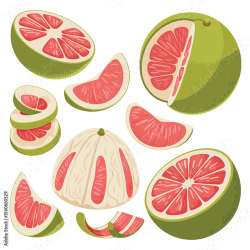 Fresh Pink Grapefruit Slices and Sections