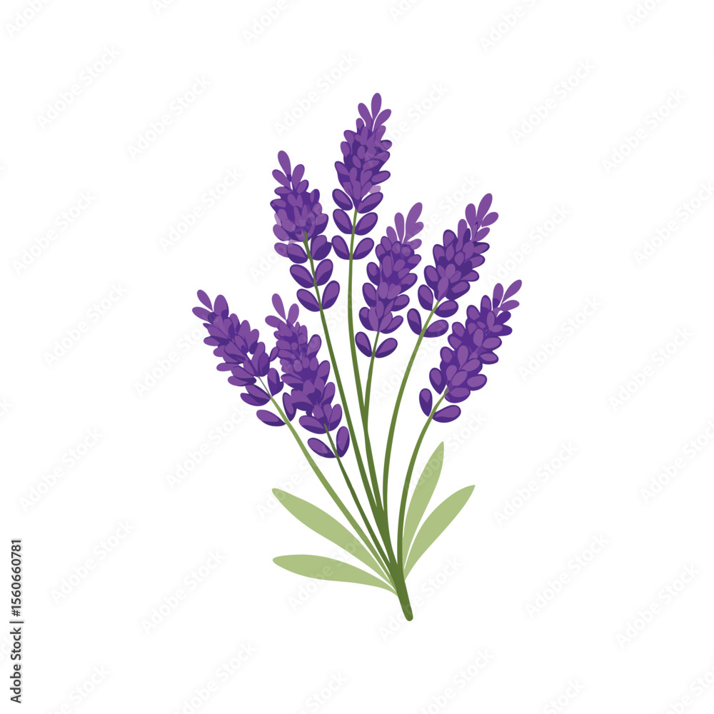 Fototapeta premium Silhouette of Lavender Flower Stalk with Clustered Blooms in Elegant Minimal Botanical Line Art Style