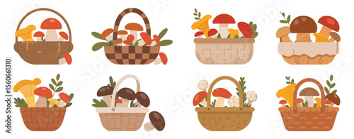 Assortment of Baskets Filled with Colorful Mushrooms
