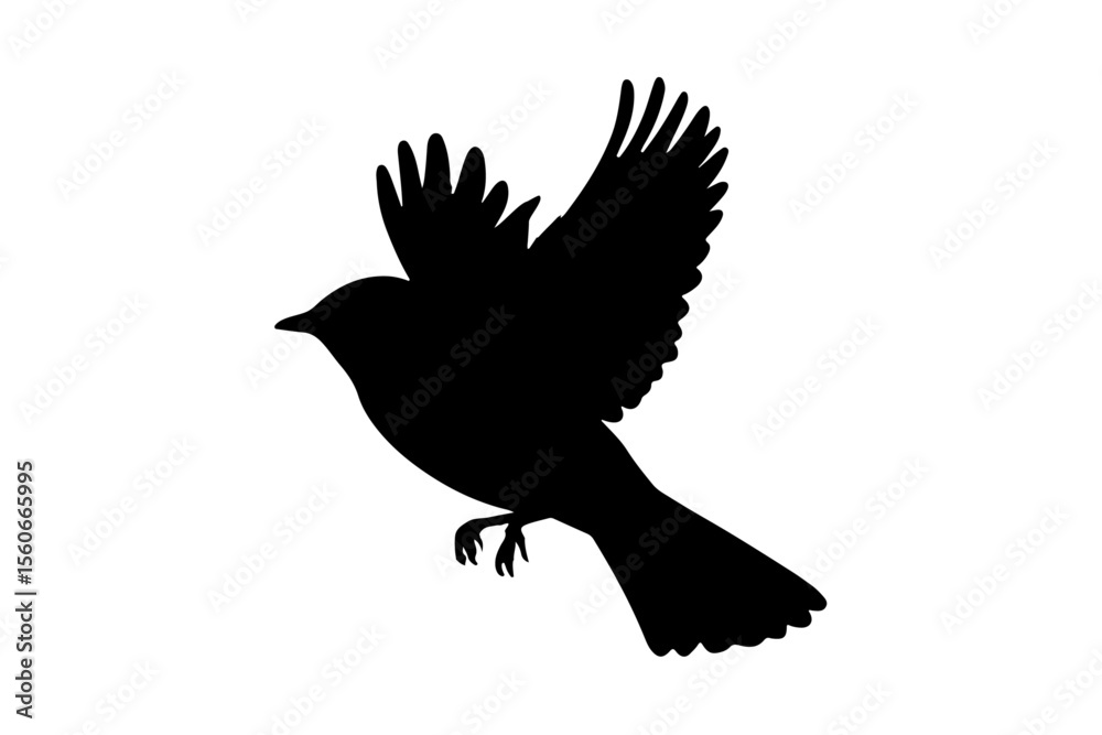 Obraz premium silhouette of a bird flying in the air