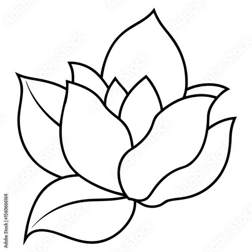 Minimalist Black Outline Magnolia Flower Leaf Drawing