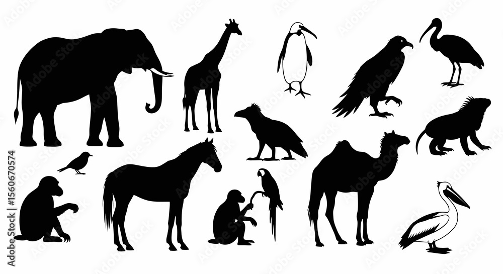 Fototapeta premium Collection of Black Silhouettes of Diverse Animals: Elephant, Giraffe, Penguin, Eagle, Ibis, Iguana, Horse, Camel, Pelican, Monkey, and Parrot
