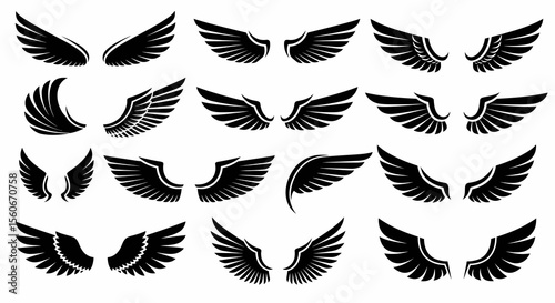 Collection of Detailed Black Wing Designs in Various Poses