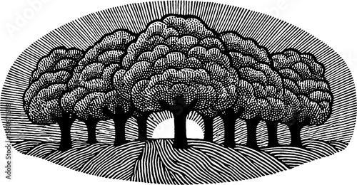Circular tree crowns in spiral meadow silhouette design for retro nature concept