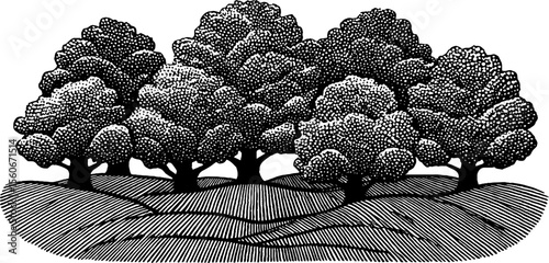 Circular tree crowns in spiral meadow pattern for retro design
