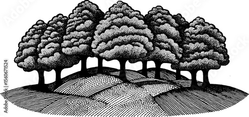 Spiral arrangement of circular tree crowns in meadow landscape design
